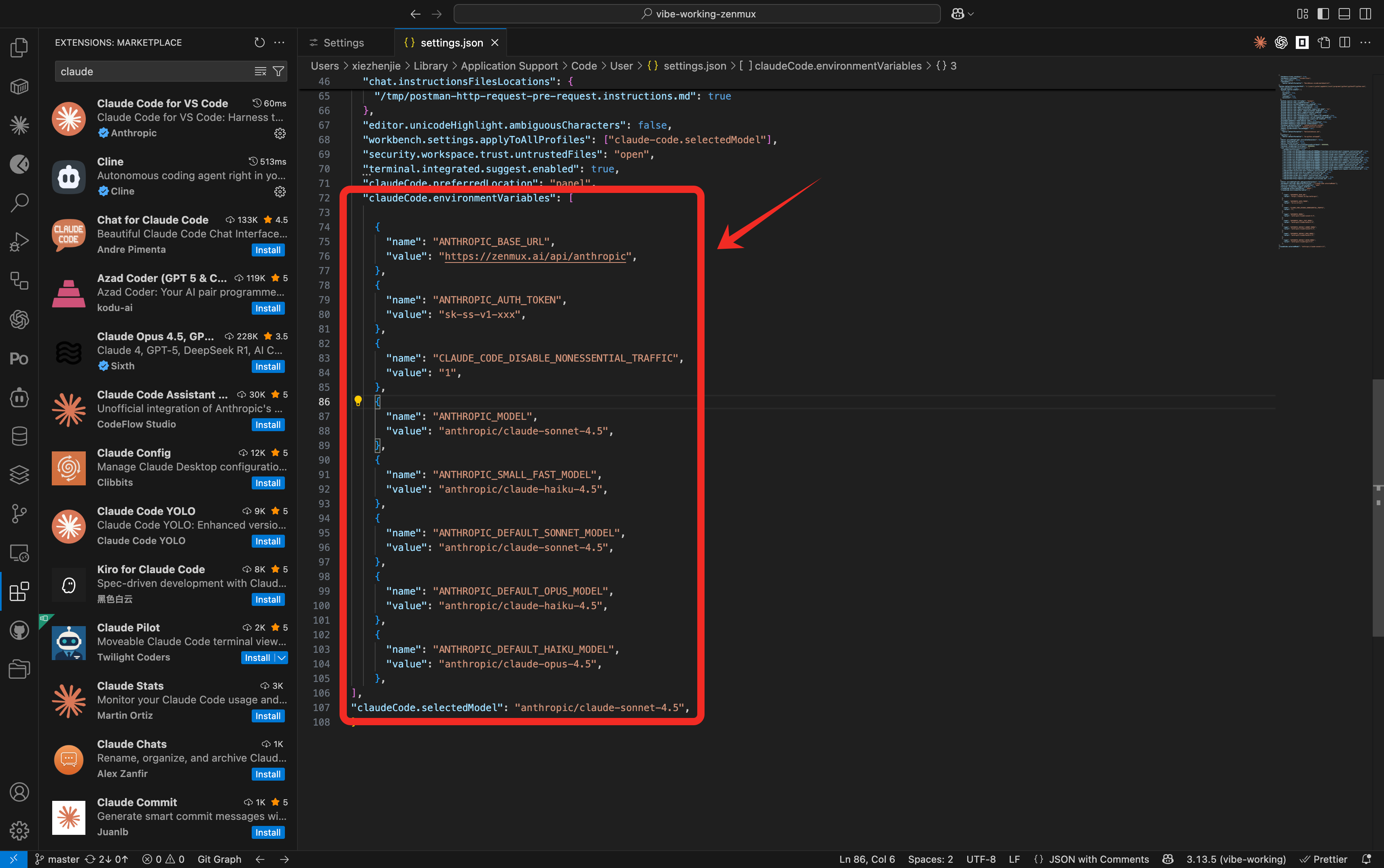 Configure the model and environment variables